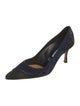Manolo Blahnik Suede Cutout Accent Pumps