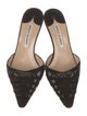 Manolo Blahnik Suede Mules