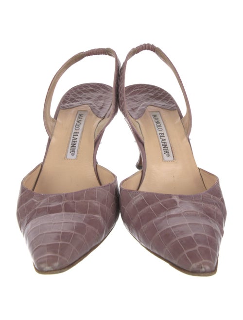 Manolo Blahnik Leather Animal Print Slingback Pumps