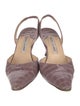 Manolo Blahnik Leather Animal Print Slingback Pumps
