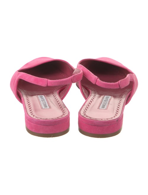 Manolo Blahnik Sawra 10 Suede Slingback Flats