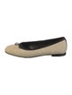 Manolo Blahnik Straw Ballet Flats