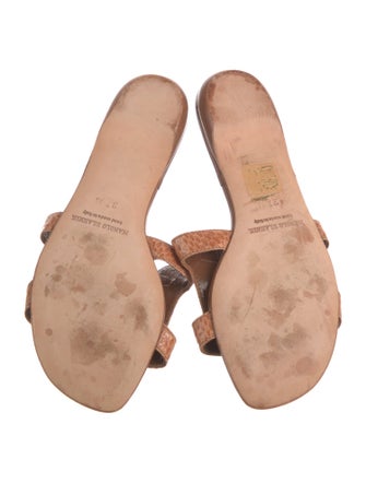 Manolo Blahnik Snakeskin Animal Print Slides