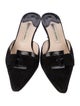 Manolo Blahnik Suede Mules