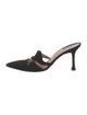 Manolo Blahnik Canvas Mules