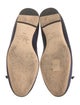 Manolo Blahnik Suede Bow Accents Ballet Flats