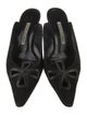Manolo Blahnik Suede Mules