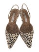 Manolo Blahnik Canvas Animal Print Slingback Pumps