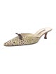 Manolo Blahnik Canvas Animal Print Mules