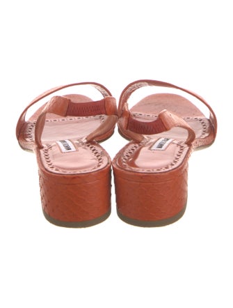 Manolo Blahnik Snakeskin Sandals