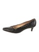 Manolo Blahnik Crocodile Pumps