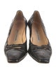 Manolo Blahnik Crocodile Pumps