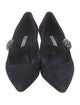 Manolo Blahnik Suede Crystal Embellishments Pumps