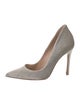 Manolo Blahnik Suede Pumps