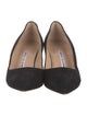 Manolo Blahnik Suede Pumps