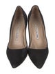 Manolo Blahnik Suede Pumps