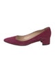 Manolo Blahnik Suede Pumps