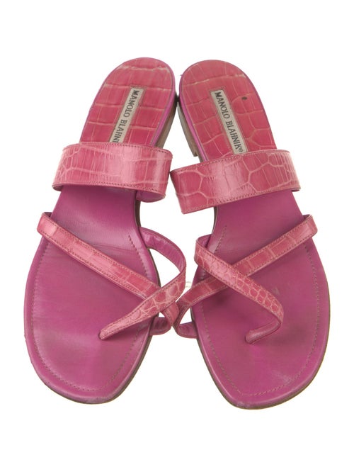 Manolo Blahnik Lizard Slides