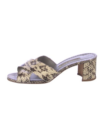 Manolo Blahnik Snakeskin Animal Print Slides