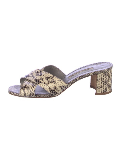 Manolo Blahnik Snakeskin Animal Print Slides