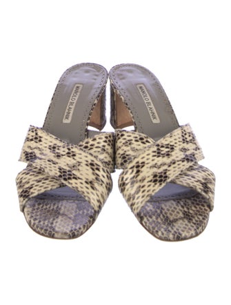 Manolo Blahnik Snakeskin Animal Print Slides