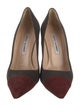 Manolo Blahnik Suede Pumps