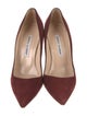 Manolo Blahnik Suede Pumps