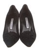 Manolo Blahnik Suede Pumps