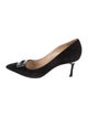 Manolo Blahnik Suede Pumps