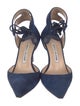 Manolo Blahnik Suede D'Orsay Pumps