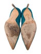 Manolo Blahnik Suede Pumps