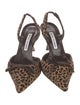 Manolo Blahnik Ponyhair Printed Slingback Pumps