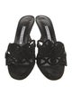 Manolo Blahnik Suede Slides