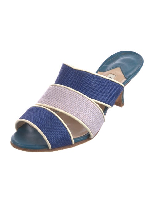 Manolo Blahnik Printed Slides