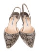 Manolo Blahnik Snakeskin Animal Print Slingback Pumps