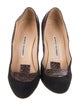 Manolo Blahnik Pumps