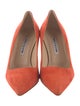 Manolo Blahnik Suede Pumps