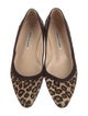 Manolo Blahnik Ponyhair Animal Print Flats