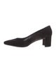 Manolo Blahnik Suede Pumps