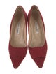 Manolo Blahnik Suede Pumps