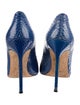 Manolo Blahnik Snakeskin Animal Print Pumps