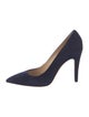 Manolo Blahnik Suede Pumps