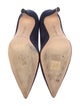 Manolo Blahnik Suede Pumps