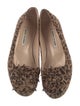 Manolo Blahnik Suede Animal Print Flats