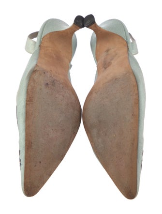 Manolo Blahnik Canvas Floral Print Slingback Pumps