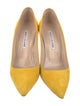 Manolo Blahnik Suede Pumps