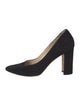 Manolo Blahnik Suede Pumps