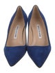 Manolo Blahnik Suede Pumps