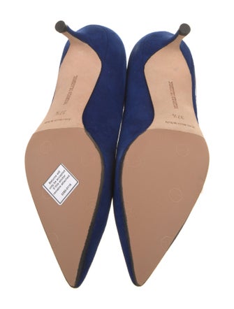 Manolo Blahnik Suede Pumps