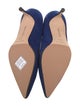 Manolo Blahnik Suede Pumps